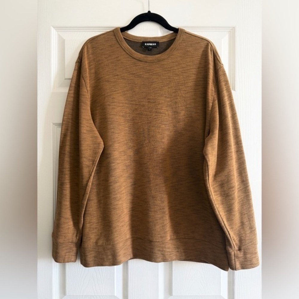 Express Mans Brown light Sweater